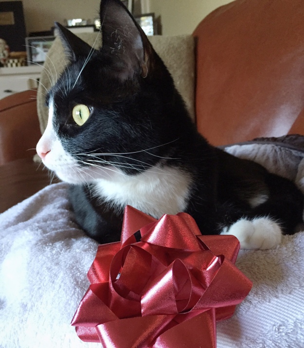 Tux with bow